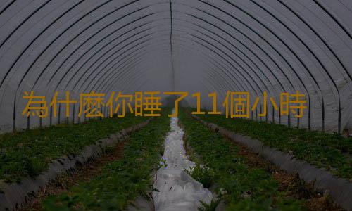 為什麽你睡了11個小時仍然覺得疲累
