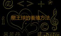 龍王球的養殖方法 